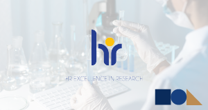 Human Resources Strategy for Researchers