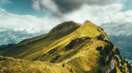 7545