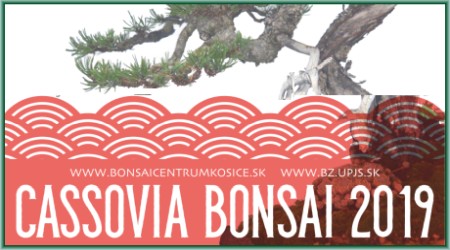 bonsaje-april-2019