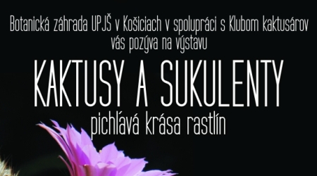 kaktusy-a-sukulenty-2016