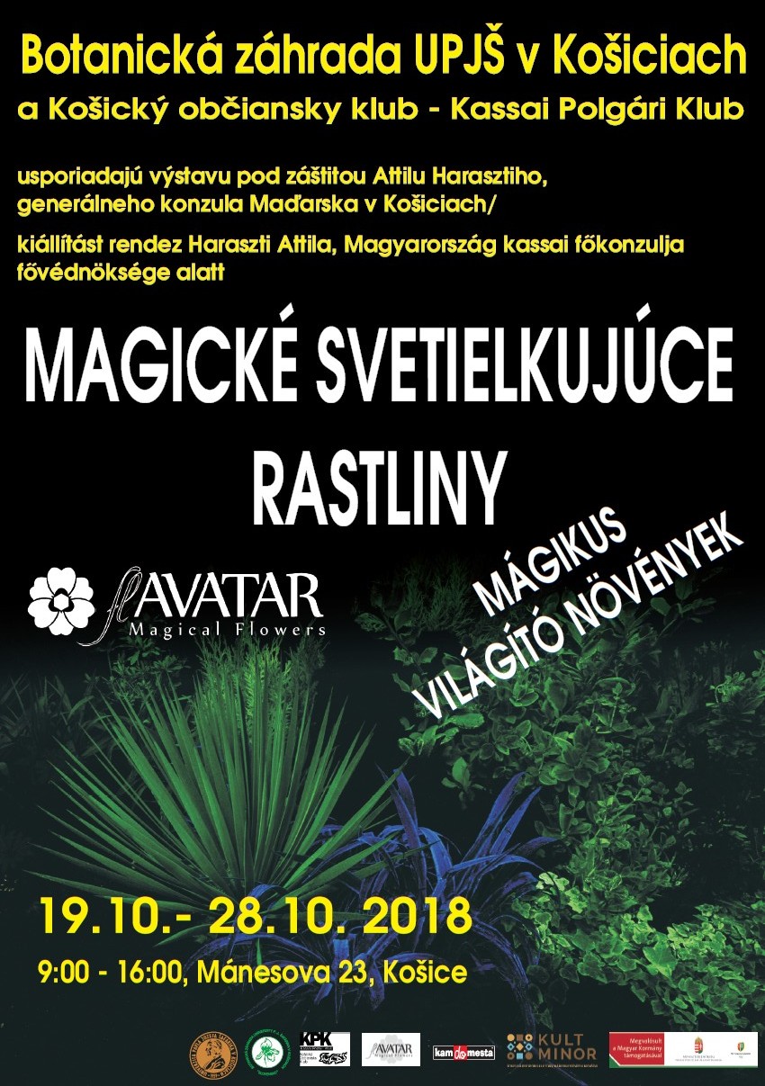 magicke-rastliny-2018