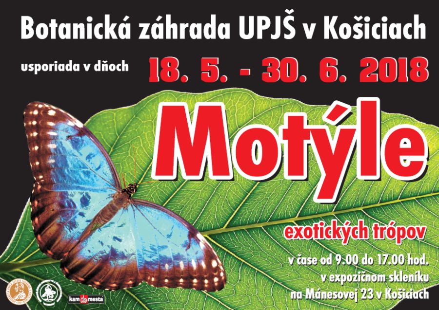 motyle-2018