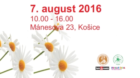 hladame-muzy-2016