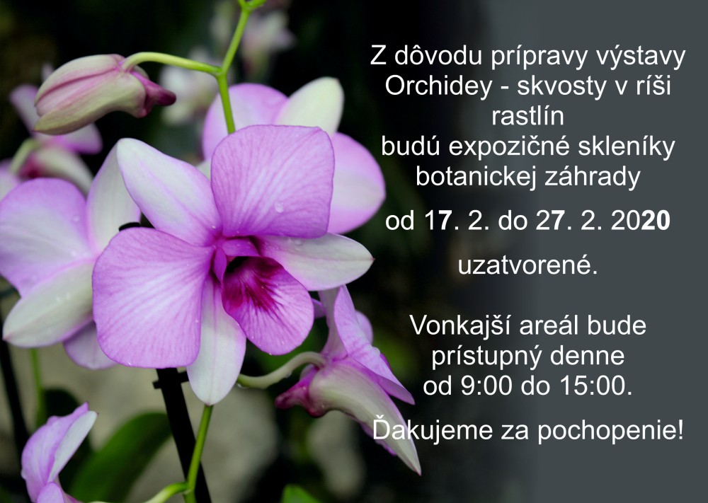 orchidey-2020-oznam