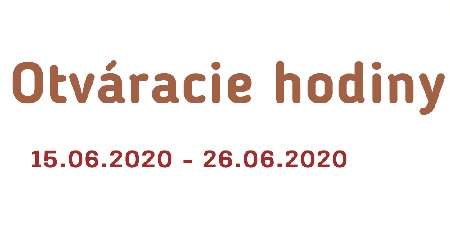 23249