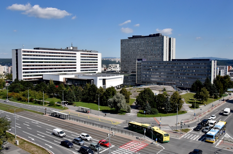 Lekárska fakulta UPJŠ v Košiciach, Univerzitná nemocnica Louisa Pasteura a Detská fakultná nemocnica, Trieda SNP 1