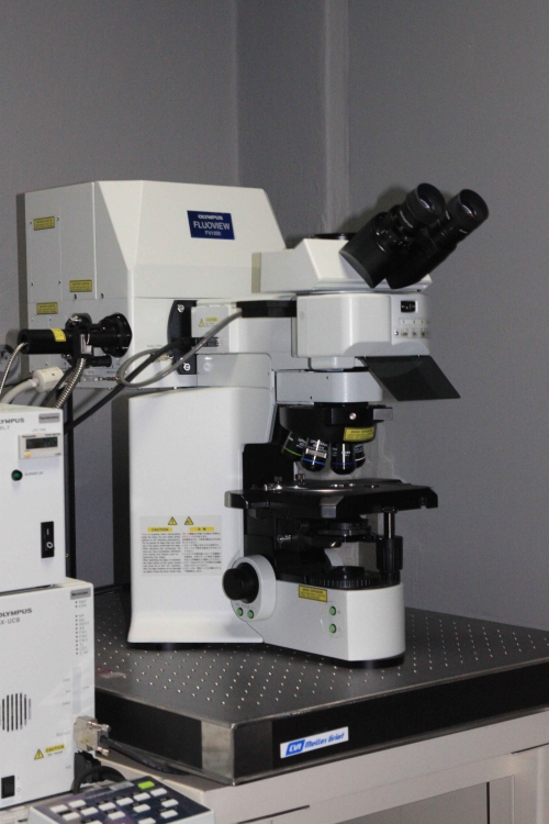 [Srdcom konfokálneho mikroskopu je špičkový svetelný mikroskop BX61.]